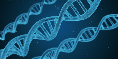 Exploring New Treatment Advances for Acid Sphingomyelinase Deficiency in Adults