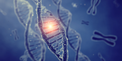 Exploring Novel Treatments for Rett Syndrome