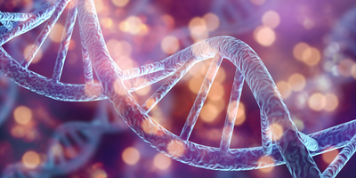 Comprehensive Management of Von Hippel-Lindau Disease: Genetic and Oncological Perspectives