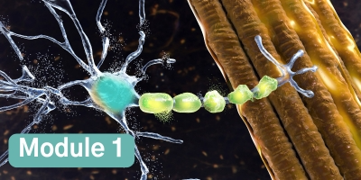 Getting Ahead of the ALS Curve Through Early Detection and Intervention: Module 1 – Enabling Earlier Detection of ALS