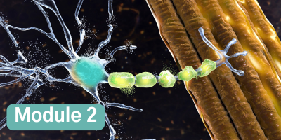 Getting Ahead of the ALS Curve Through Early Detection and Intervention: Module 2 – Disease-Modifying Therapies for ALS: Weighing the Options