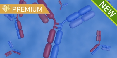Two Targets, One Mission: Advancing Cancer Care With Bispecific Antibodies